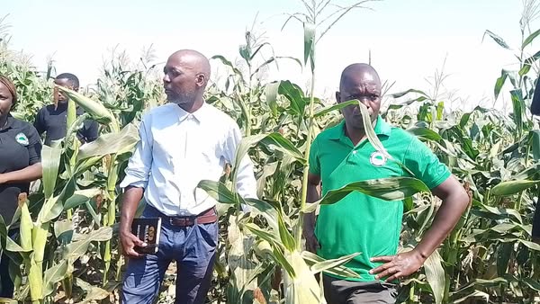 Farmers in Nkhotakota hail NEEF Micro-Irrigation Farm Input Loans