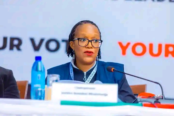 MEC launches 17 March by-elections, clarifies election guidelines